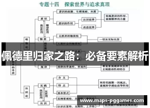 佩德里归家之路：必备要素解析