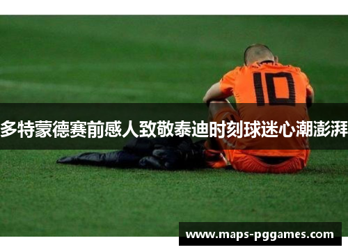 多特蒙德赛前感人致敬泰迪时刻球迷心潮澎湃
