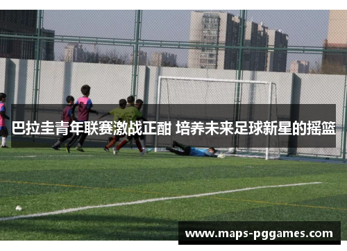 巴拉圭青年联赛激战正酣 培养未来足球新星的摇篮