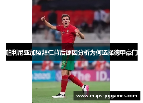 帕利尼亚加盟拜仁背后原因分析为何选择德甲豪门