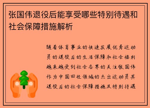 张国伟退役后能享受哪些特别待遇和社会保障措施解析